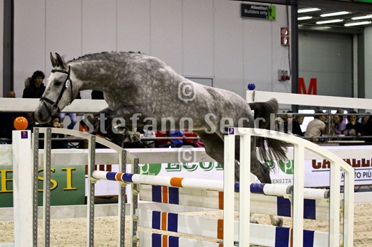 DUECENTO CAREZZE_MILANO_2010_SS3_1425.jpg